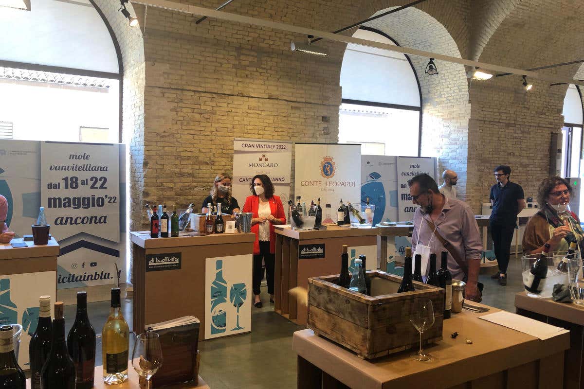 A Tipicità in blu ci saranno degustazioni enogastronomiche da non perdere Tipicità in blu ad Ancona il festival in cui il mare incontra le persone