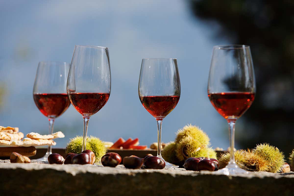 Foto: Frieder Blickle Passeggiate nei meleti e nei vigneti e tappa ai masi: ecco Il T&ouml;rggelen a Tirolo