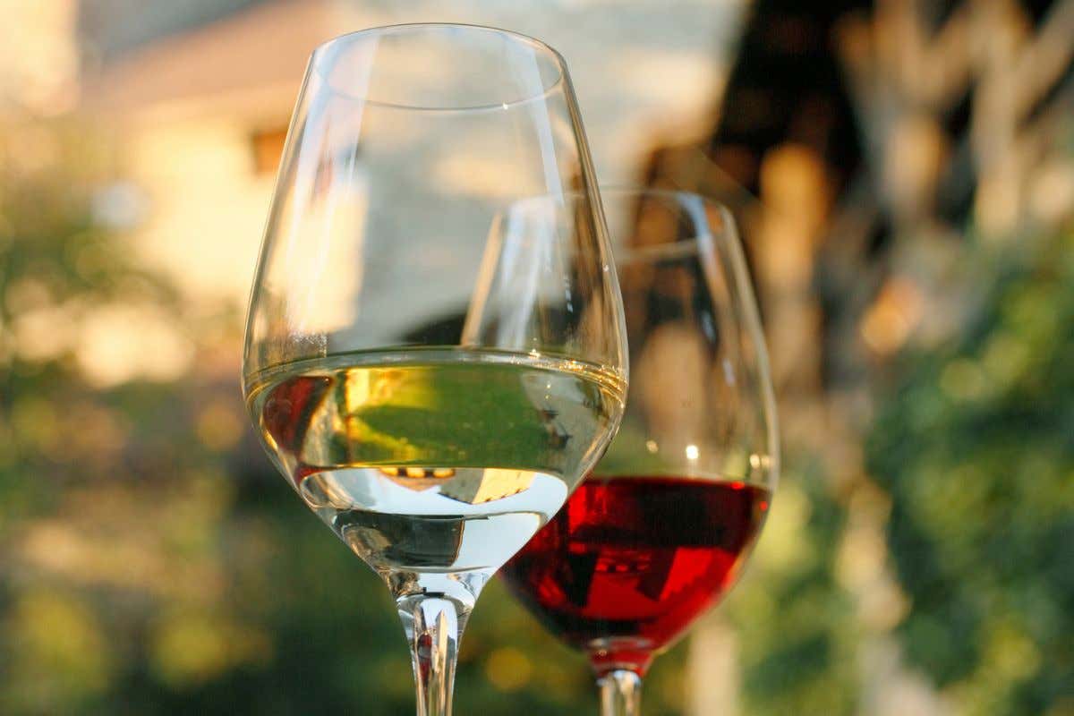 Mercato del vino italiano: vendite in calo ma valore in crescita Mercato del vino italiano: vendite in calo ma valore in crescita