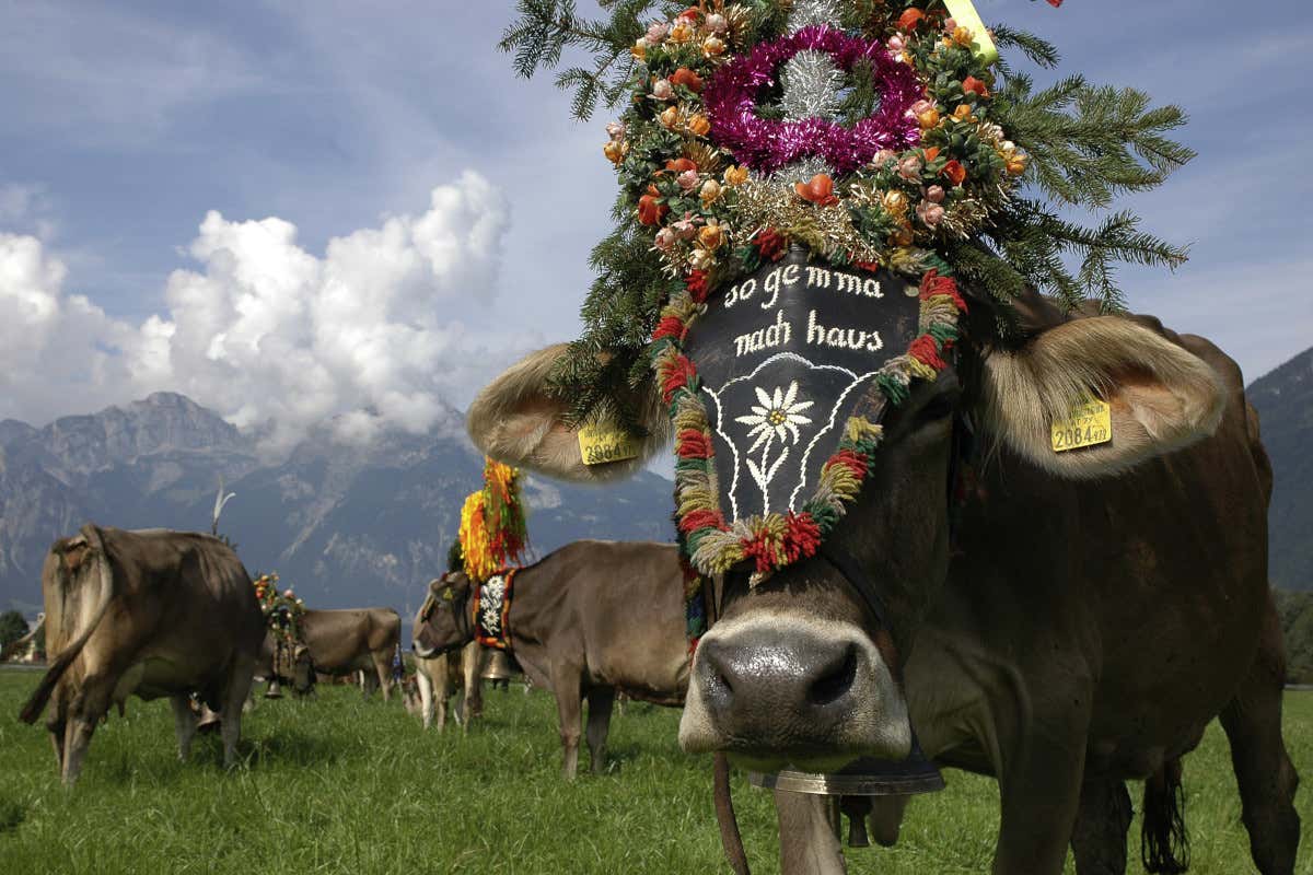 Una giornata d'autunno in Tirolo, emozioni dall'alba al tramonto