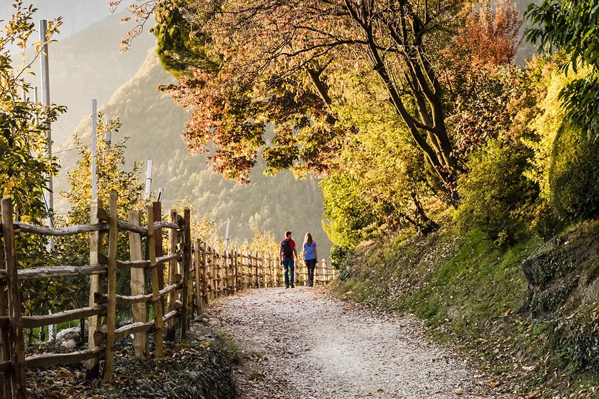 Foto: Hannes Niederkofler Passeggiate nei meleti e nei vigneti e tappa ai masi: ecco Il T&ouml;rggelen a Tirolo