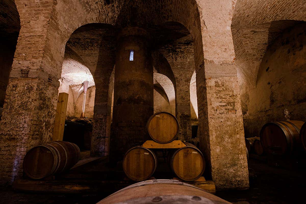 Dalla spiritualità ai vini: l’Abbazia di Praglia racconta 900 anni di storia Dalla spiritualità ai vini: l’Abbazia di Praglia racconta 900 anni di storia