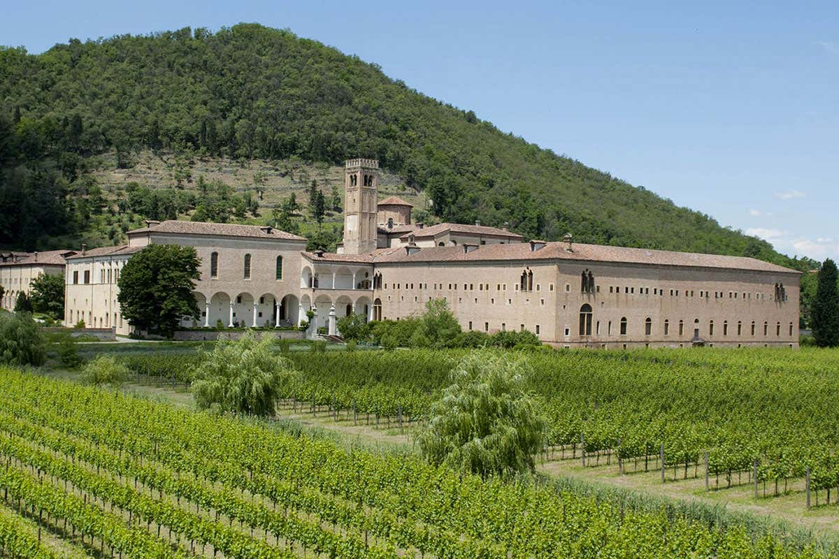 Dalla spiritualità ai vini: l’Abbazia di Praglia racconta 900 anni di storia Dalla spiritualità ai vini: l’Abbazia di Praglia racconta 900 anni di storia