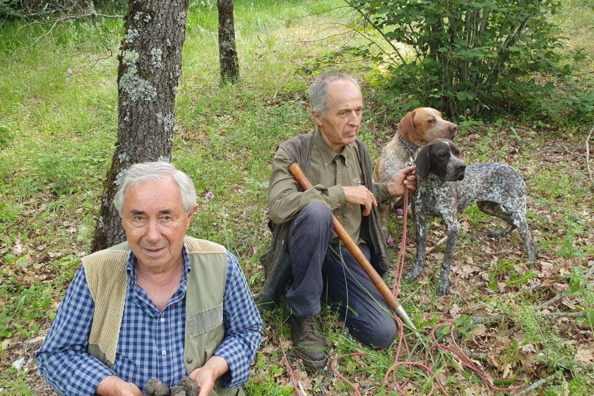 Il Consiglio di Tocci e Crestini: al ristorante scegliete sempre e solo il tartufo fresco
