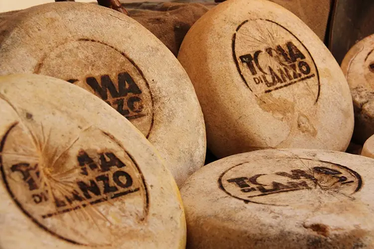 Toma di Lanzo, ottimo formaggio a latte vaccino a pasta molle o semidura 
