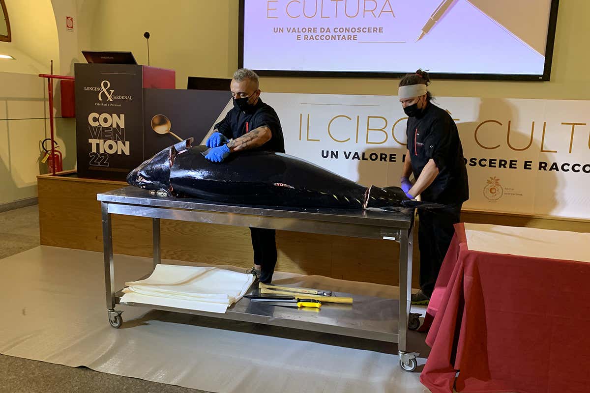 Il gigantesco tonno rosso Fuentes lavorato in sala Longino