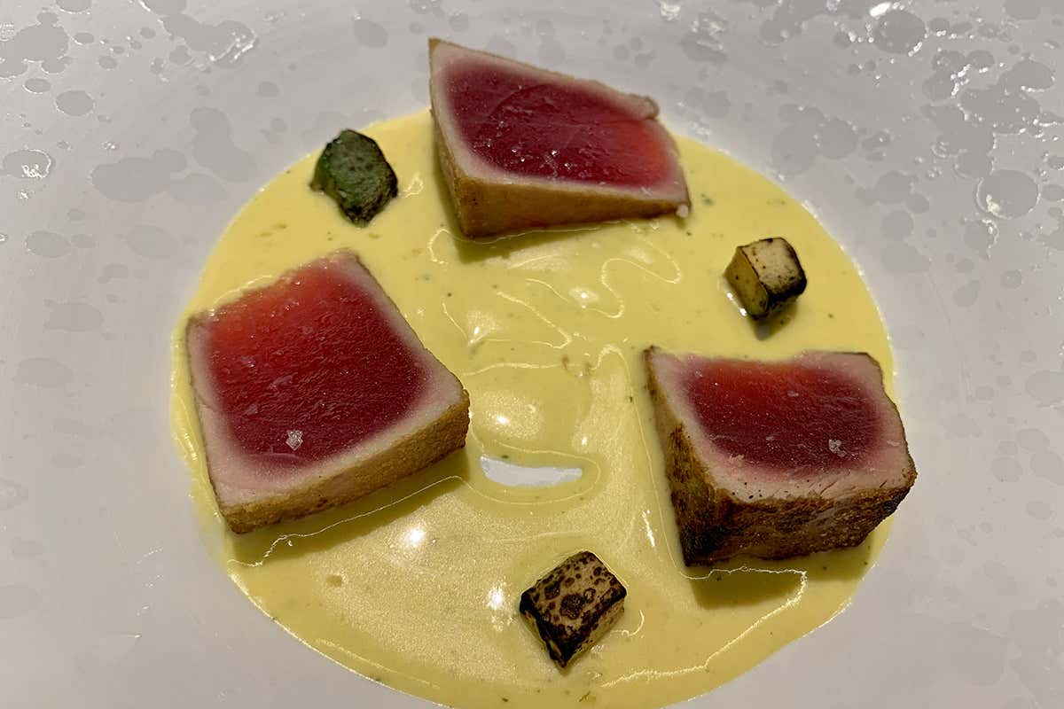 Tonno tataky e salsa nikkei Acqua: un tuffo nel pescato di ricerca