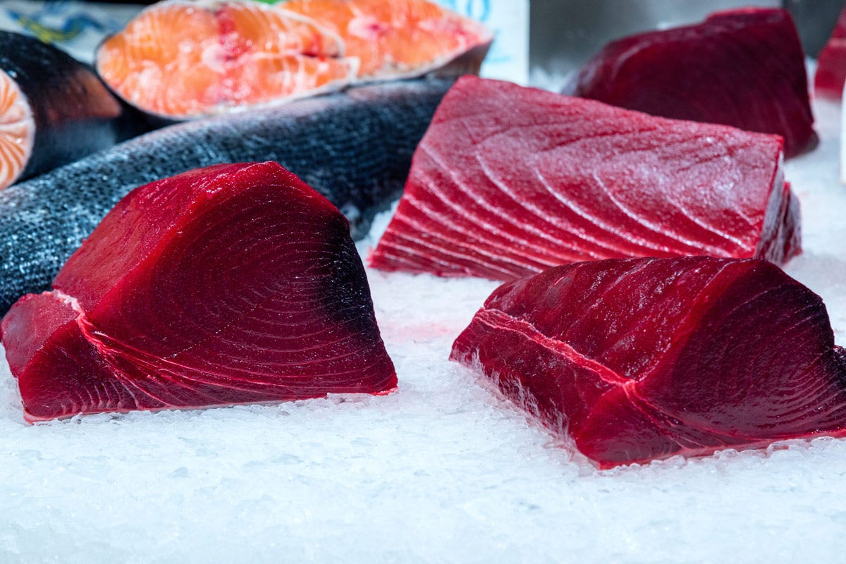 La carne del tonno è molto ricercata in cucina Tonno un alimento dalle pregiate qualità nutrizionali