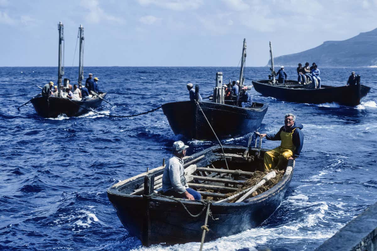 Alla scoperta delle tonnare siciliane: storia, segreti e riti di un mondo (ormai) perduto Alla scoperta delle tonnare siciliane: storia, segreti e riti di un mondo (ormai) perduto