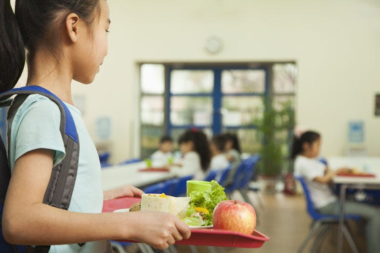 (Topi in mensa in due scuole a Roma Cinquecento alunni pranzano in classe)