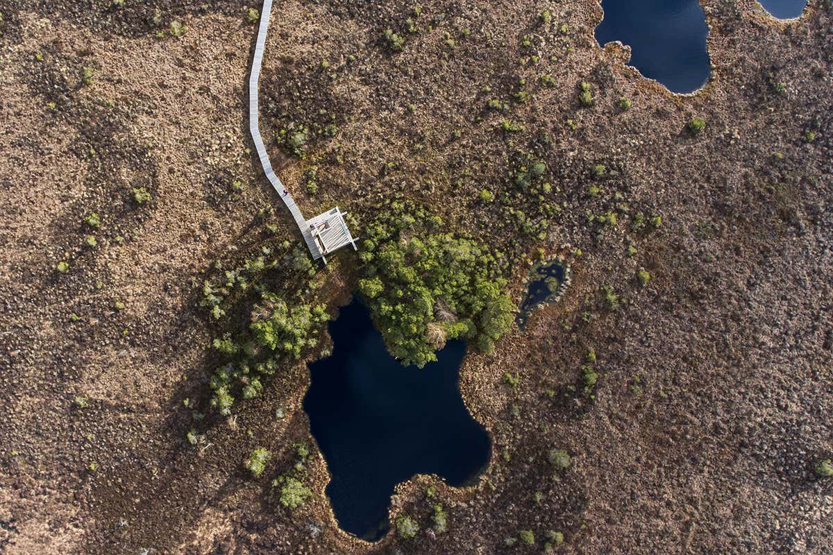 Torbiera di Aukštumala Scopri la magia della Lituania, con 10mila pernottamenti in omaggio