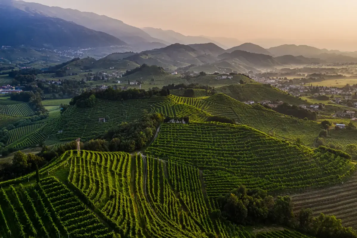 Il territorio 
