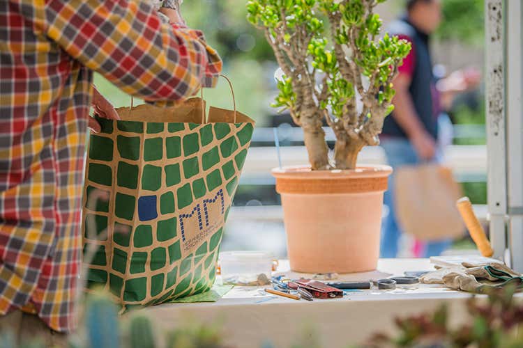 Torna uno degli eventi più attesi della città La Primavera sboccia a Merano Torna il festival dei fiori