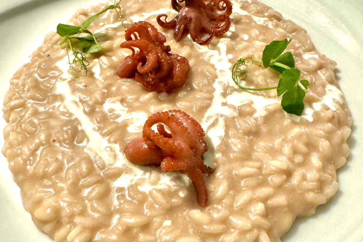 Applausi per i piatti di Stiven Toro e Igles Corelli al Ristorante La Conchiglia