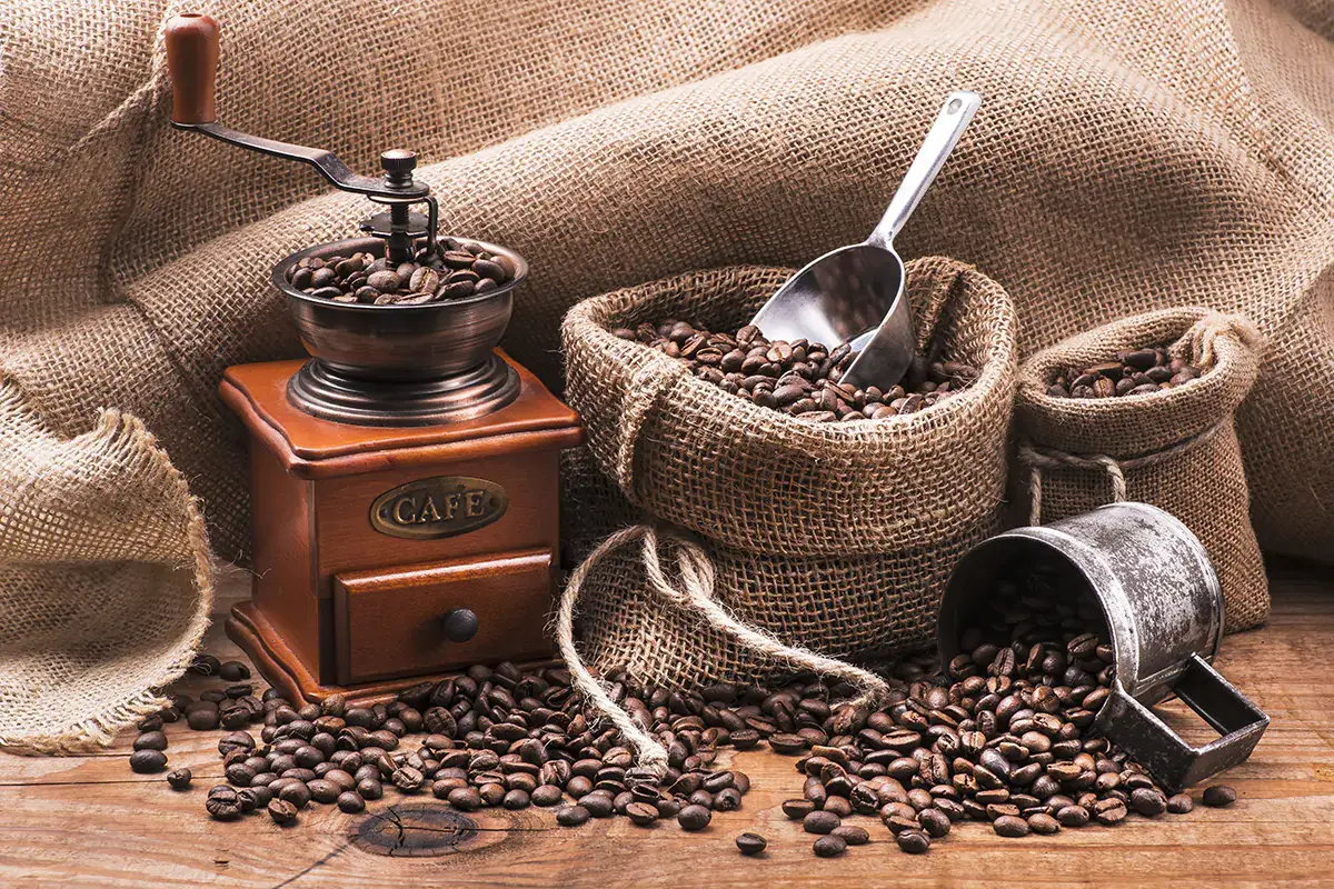 Coffitalia 2020, l'annuario della torrefazione è disponibile online