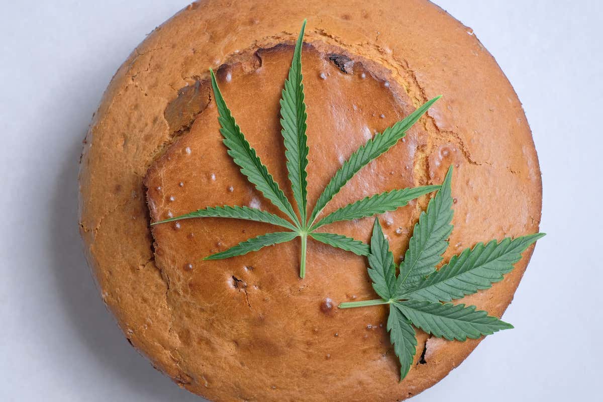 Torta alla marijuana per dessert: studenti di Monza finiscono all’ospedale