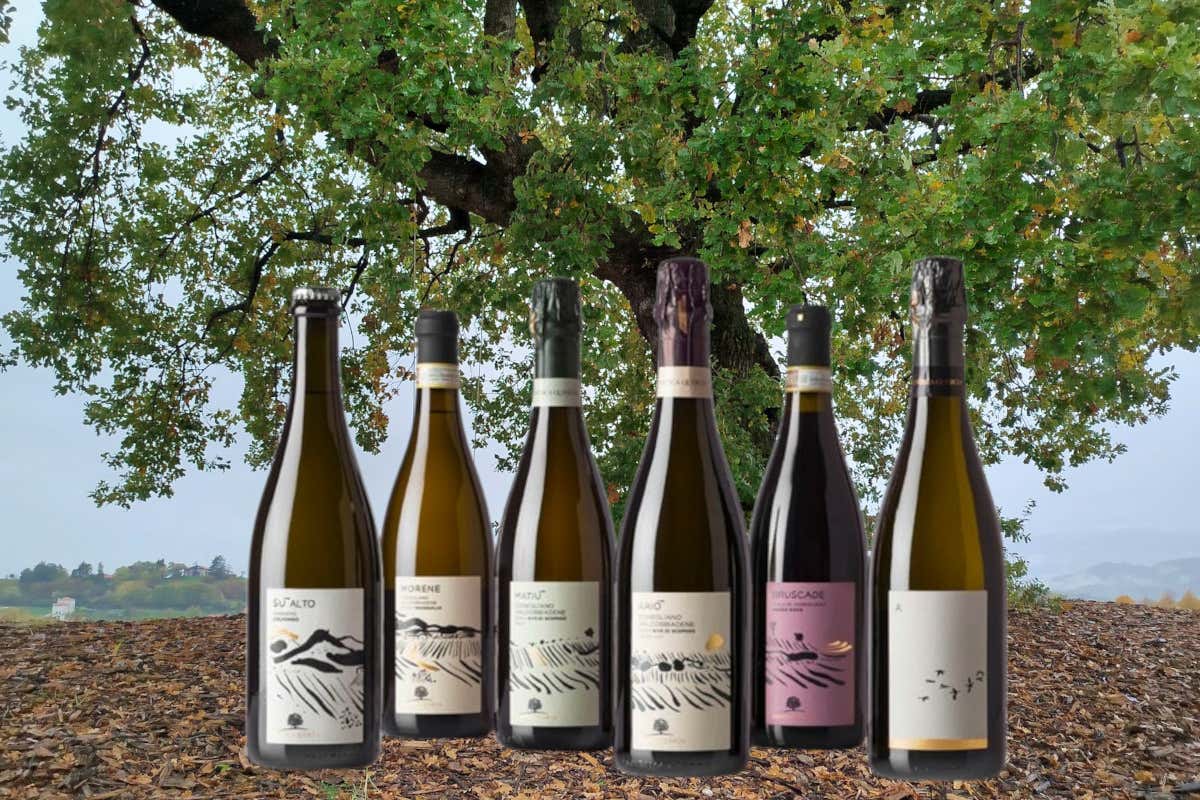 Su Alto e la visione biodinamica della cantina L’Antica Quercia