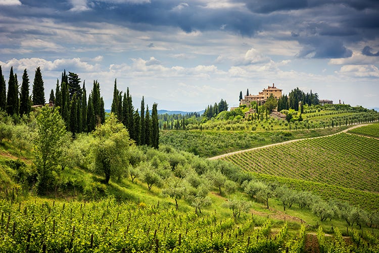 La Toscana resta la meta preferita per i winelovers La meta preferita dagli enoturisti? Toscana, seguita da Piemonte