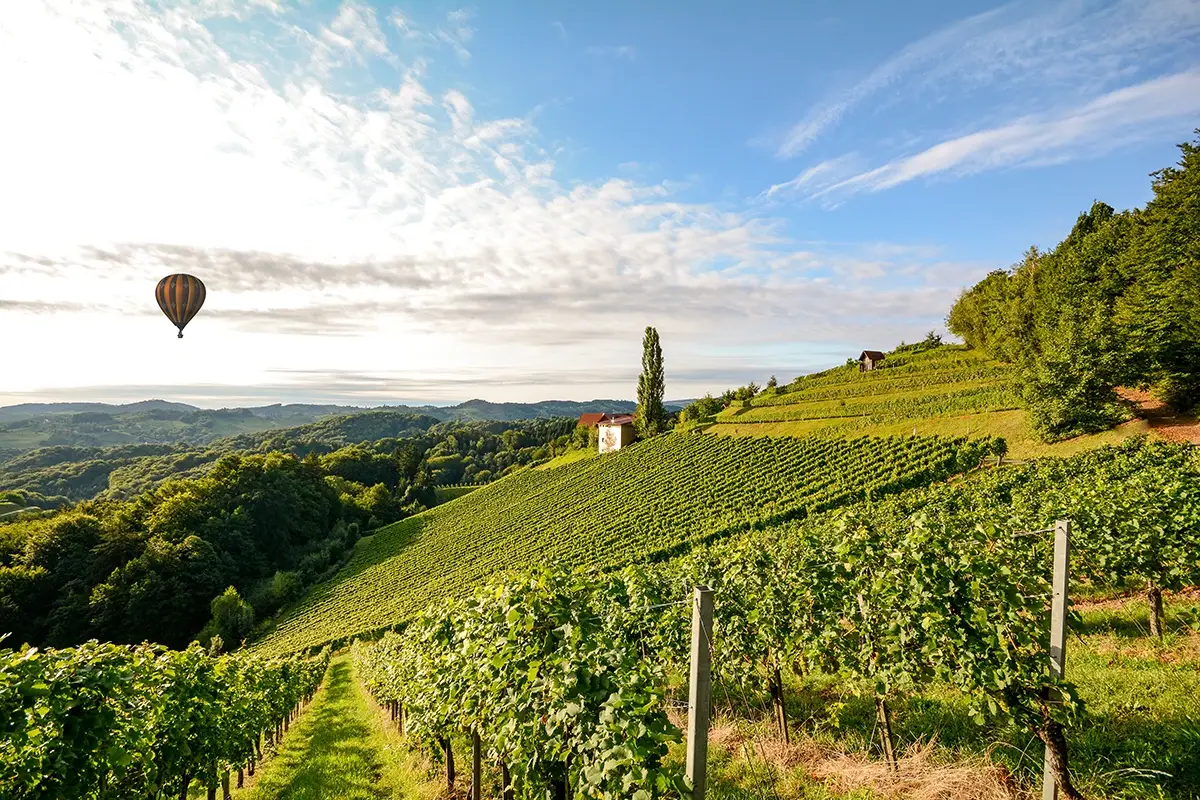 Le sfide&nbsp; di Ais Toscana: &ldquo;Apertura al territorio, condivisione e formazione continua&rdquo;