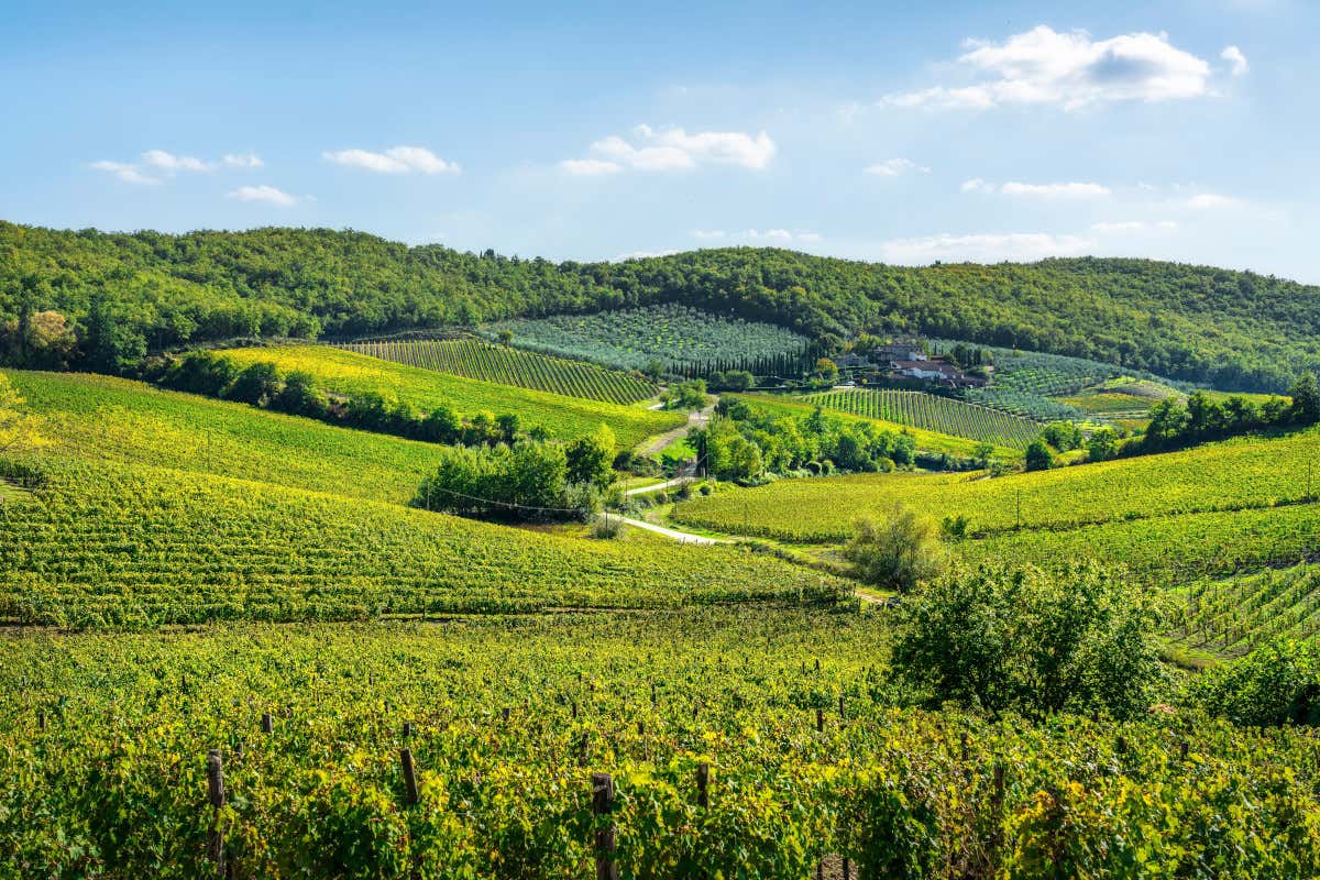 Il turismo della Toscana cresce seguendo le rotte del gusto e delle Dop Il turismo della Toscana cresce seguendo le rotte del gusto e delle Dop