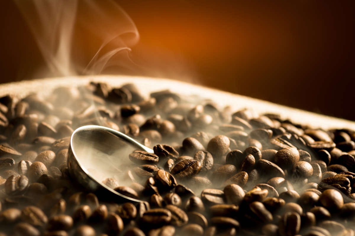 RIVISTA - Il processo di torrefazione del caffè secondo Bazzara