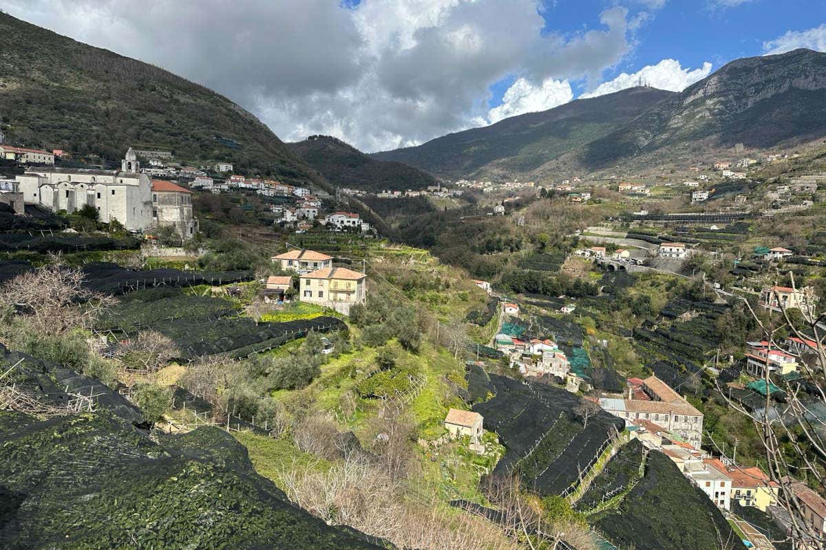 Tramonti, capitale della pizza: la prima edizione di PizzAcademy