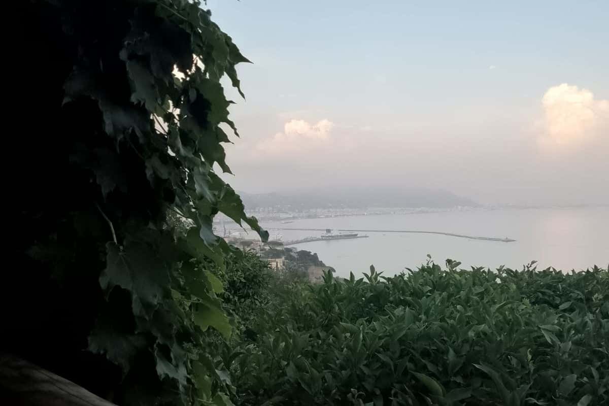 Lusso e romanticismo: ecco come è un matrimonio all'Hotel Raito Amalfi Coast