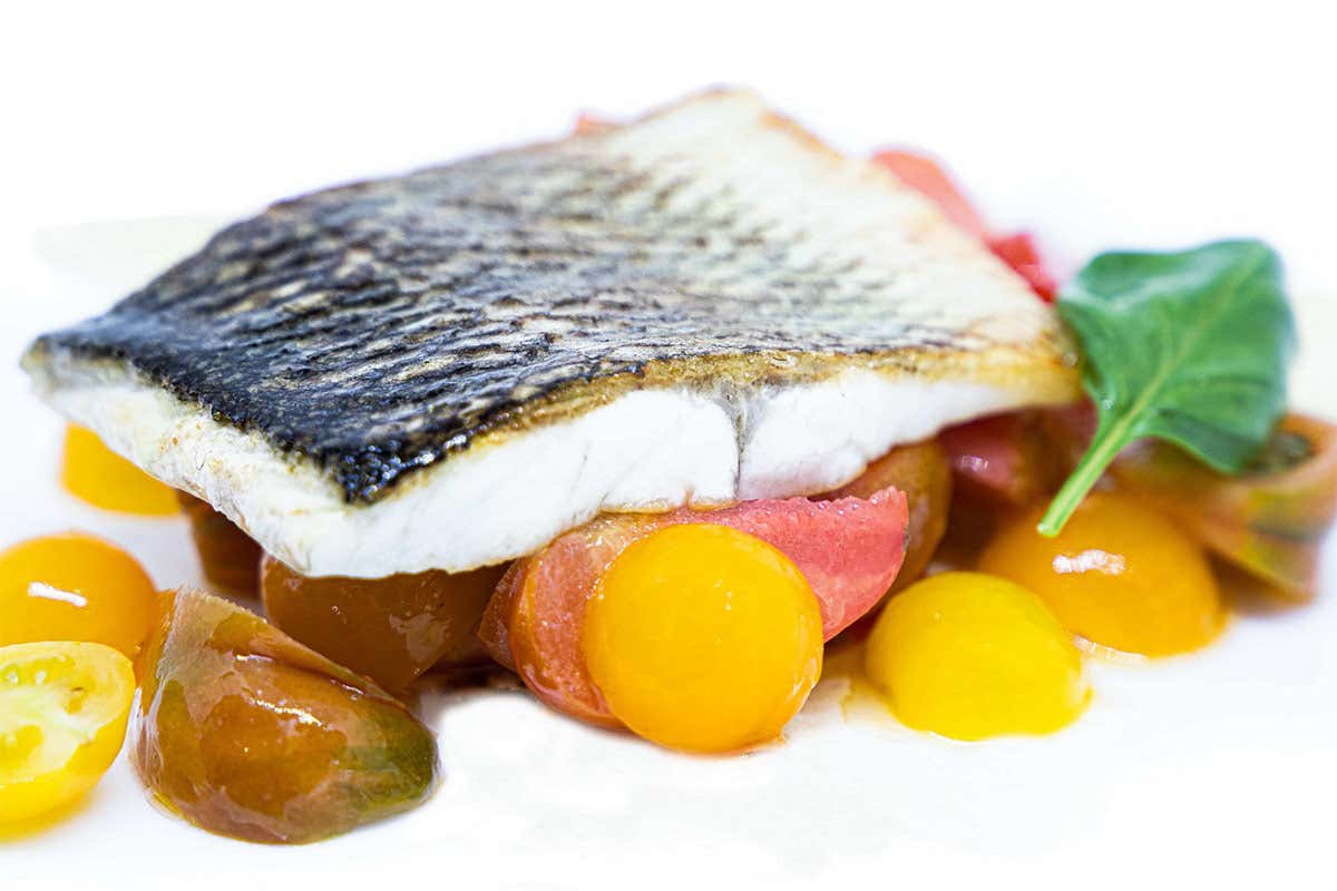 Trancio di spigola di Sardegna alla piastra con pane e pomodoro Trancio di spigola di Sardegna alla piastra con pane e pomodoro