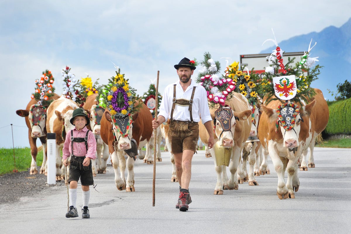 Tradizioni che ricorrono In Tirolo è epoca di transumanza, uno spettacolo millenario