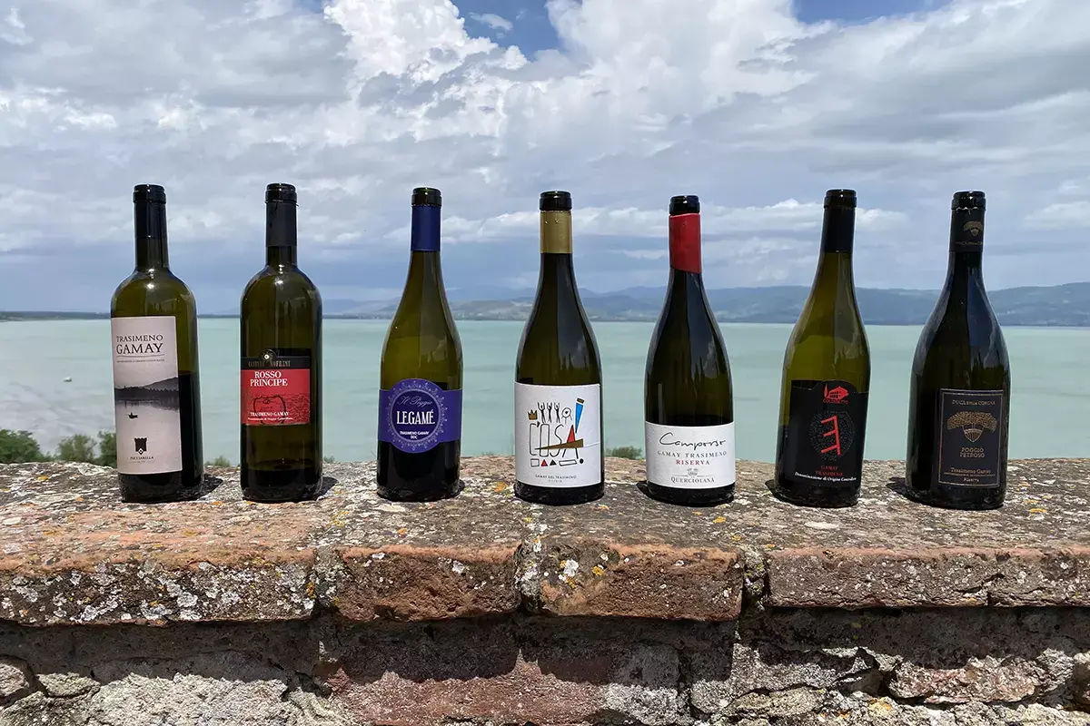 I vini della Doc Colli del Trasimeno Montefalco, Colli del Trasimeno e Torgiano: i vini emblema dell&rsquo;Umbria