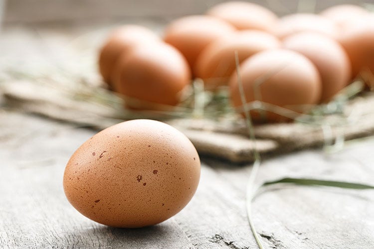 Uova fresche (Il trattamento delle uova Primo, conservarle al fresco)
