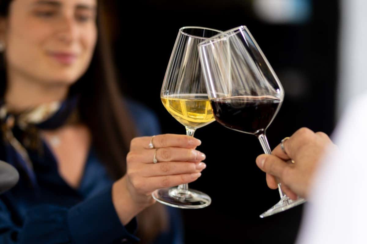 La carta dei vini definisce l’identità del progetto senza forzature