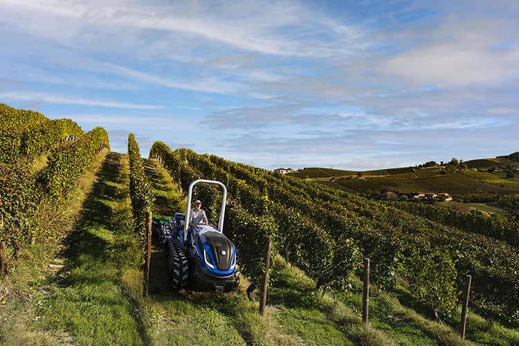 Mille proroghe approvato: cosa cambia per bar e ristoranti? C’è anche il bonus cuochi
