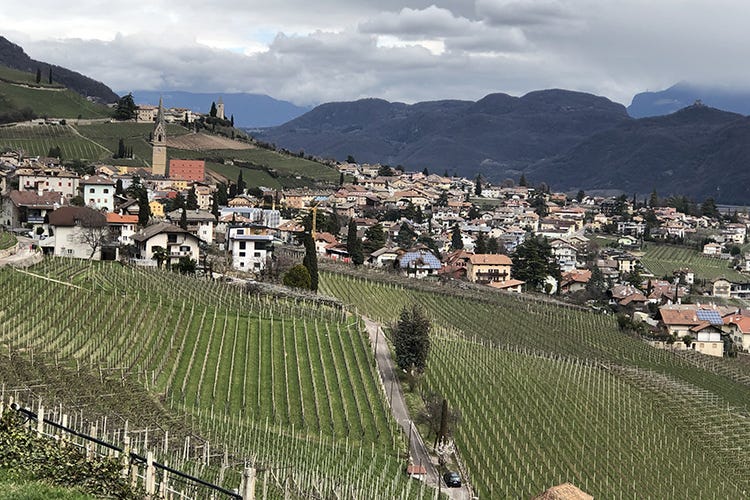Trentino, nuova legge provinciale
per un turismo tra gusto e identità