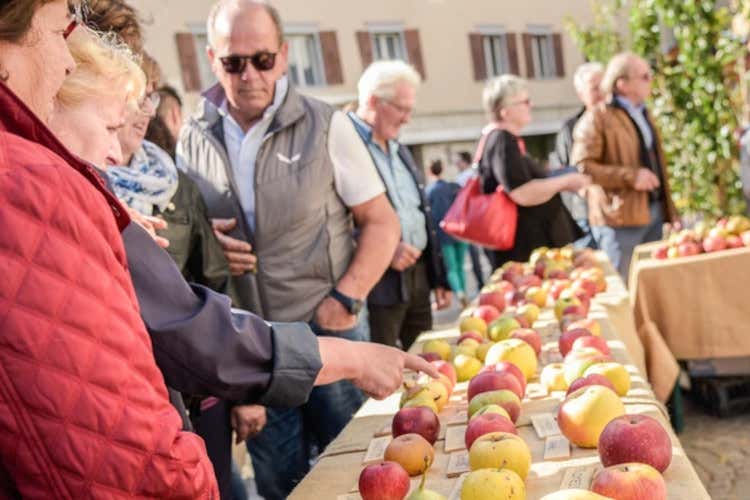 Un viaggio in Trentino per vivere la magia dei colori dell'autunno