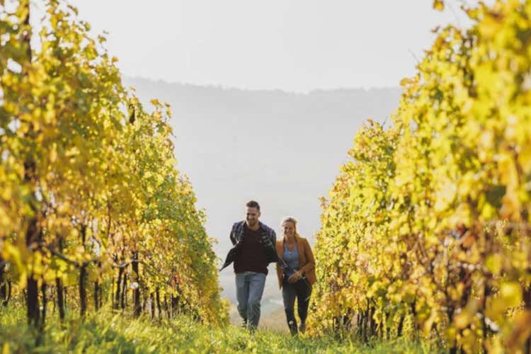 Un viaggio in Trentino per vivere la magia dei colori dell'autunno