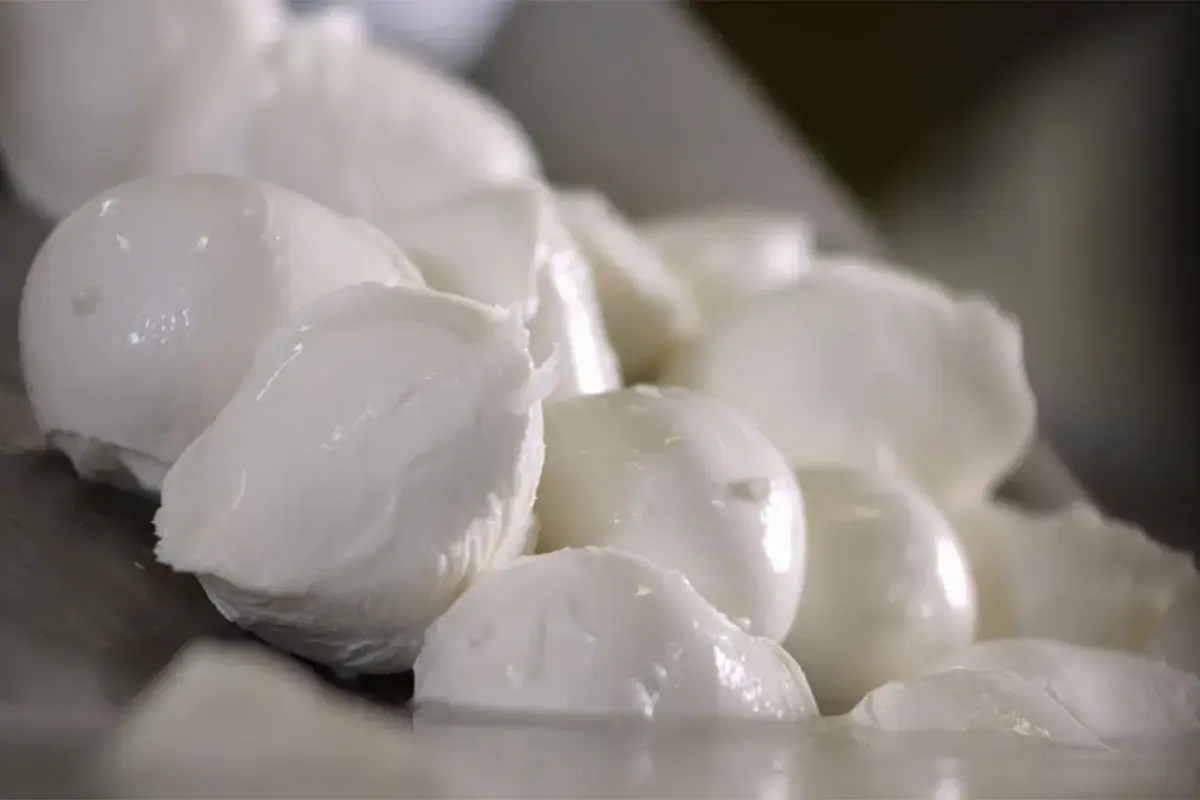 Mozzarella Fiordilatte Nella Mozzarella TreValli tutta la bont&agrave; del latte dei monti Sibillini