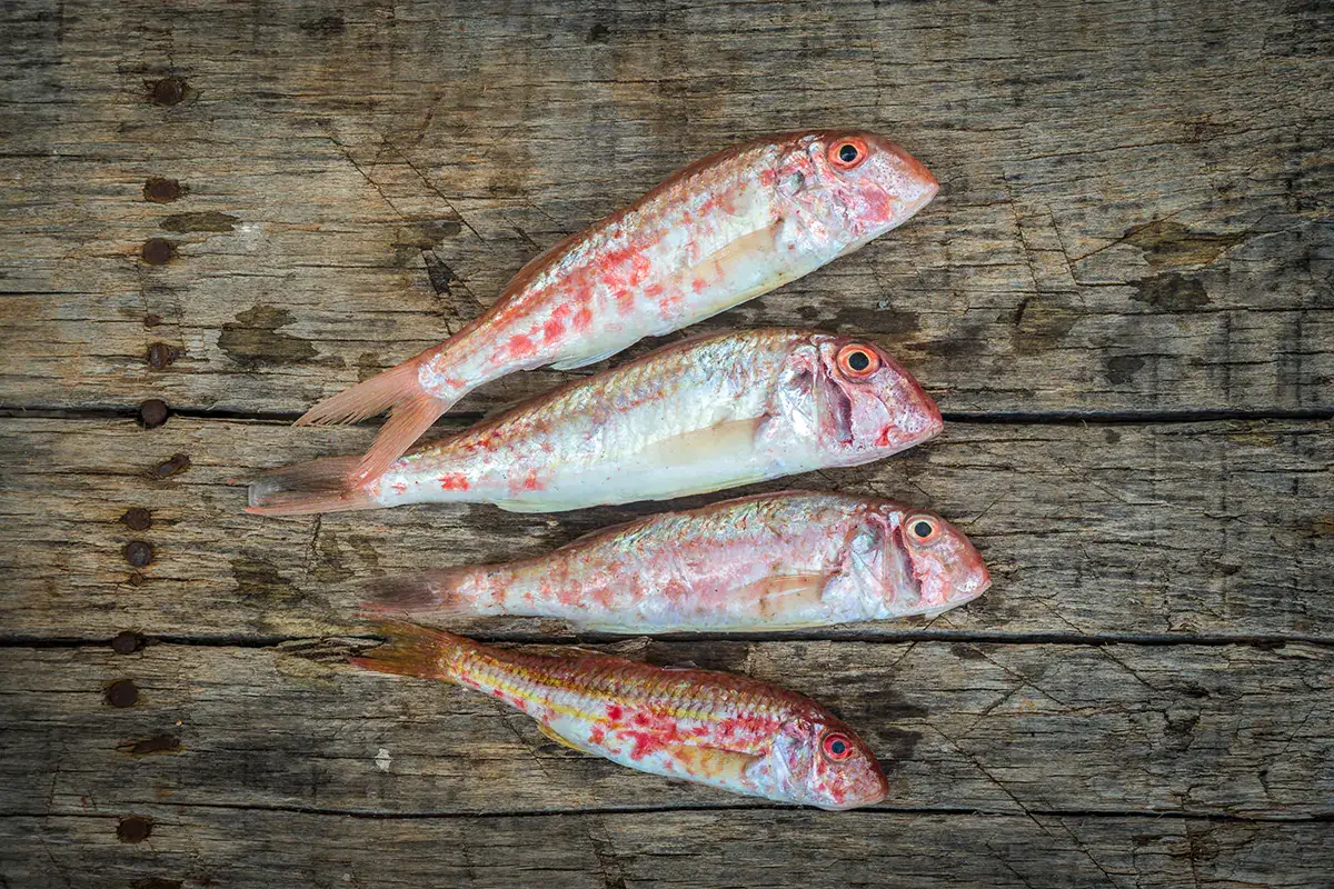 Triglia Sole, mare e ... pesce. Ecco quale consumare d'estate