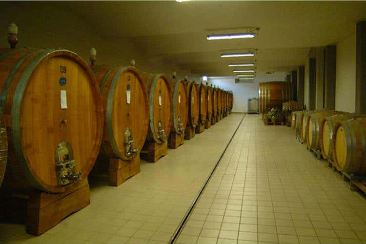 Cantina bergamasca, soci tutelati Richieste le uve per la vendemmia Cantina bergamasca, soci tutelati Richieste le uve per la vendemmia