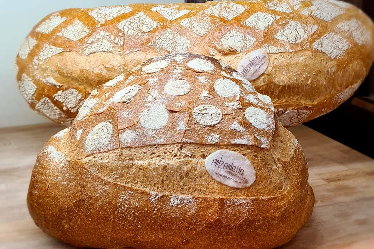 Un fornaio lascia Venezia per la Norvegia: oggi il pane conviene farlo lì