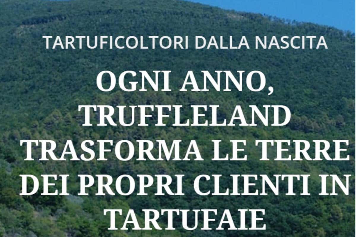 La Truffleland e le piantine ideali per la produzione del tartufo Il Truffleland e le piantine ideali per la produzione del tartufo