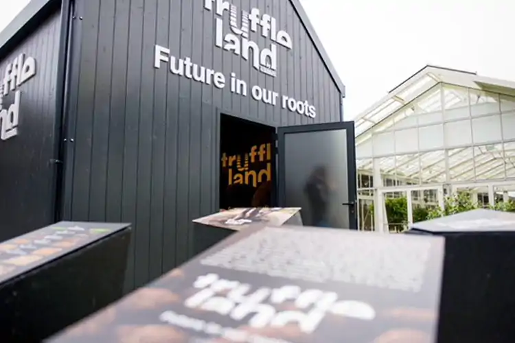Il progetto Truffleland nasce dall&rsquo;azienda Urbani Tartufi&nbsp; L&rsquo;innovazione della tartuficoltura Tra imprenditoria e sostenibilit&agrave;