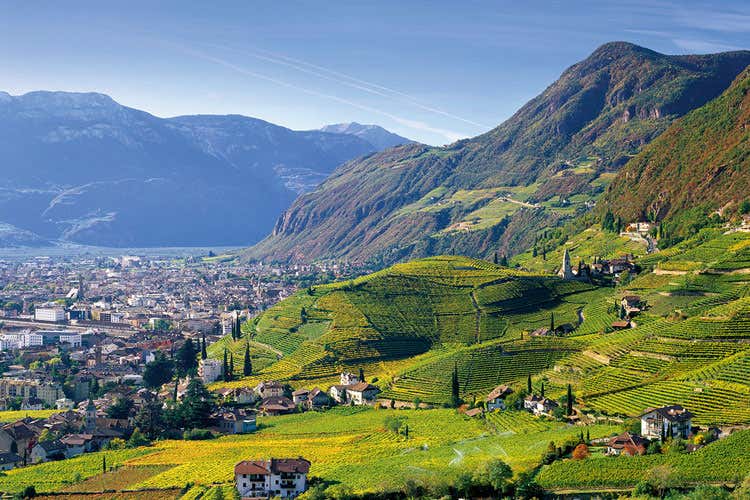 A tu per tu col vino Santa Maddalena Degustazioni con menu tipici di Bolzano A tu per tu col vino Santa Maddalena Degustazioni con menu tipici di Bolzano