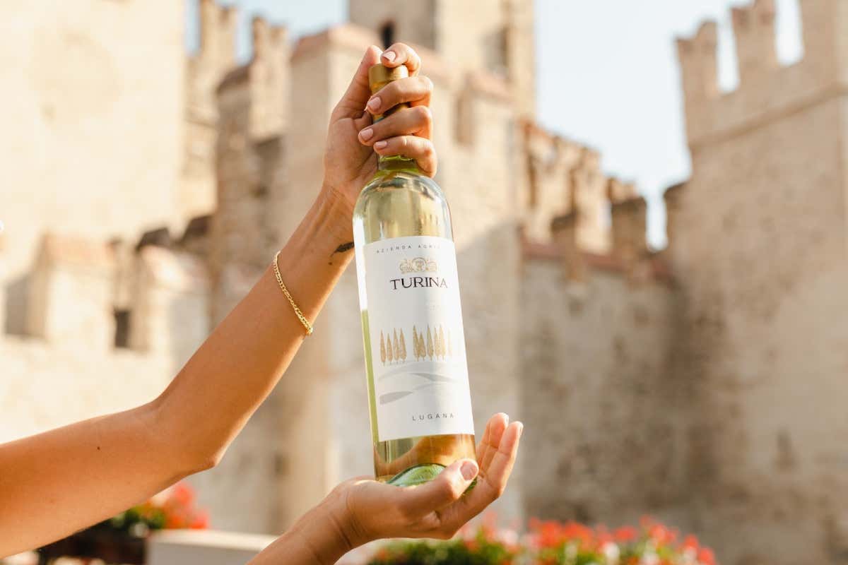Sul Garda la cantina Turina festeggia 100 vinificazioni (con al centro il Chiaretto)