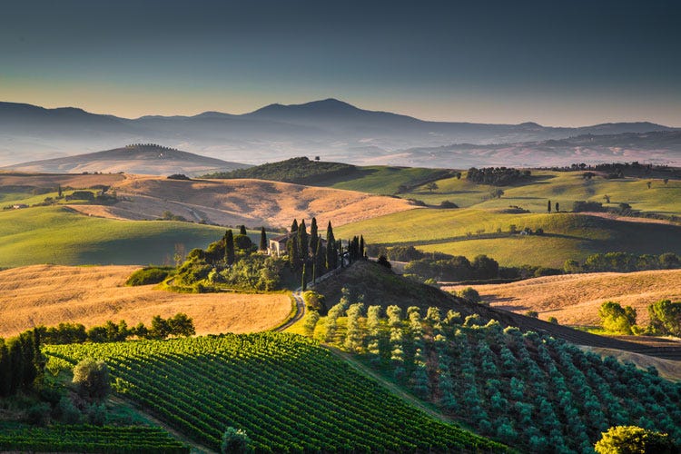 Turismo enogastronomico 
È la Toscana la meta preferita