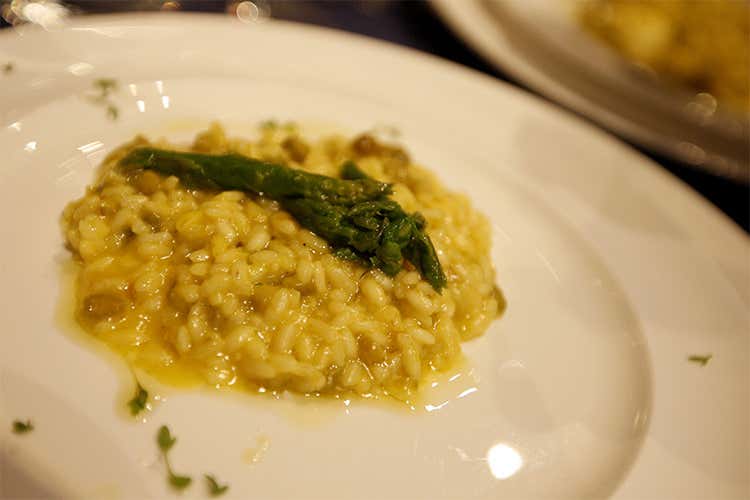 Tutto pronto per Vinitaly 2017  Spazi più ampi e nuovi espositori