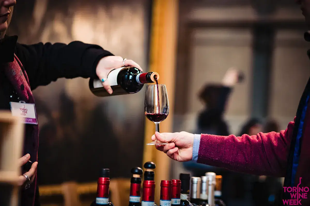Fra degustazioni e masterclass, non mancano gli appuntamenti in bar, ristoranti e osterie Torino Wine Week, torna la settimana del vino in versione invernale