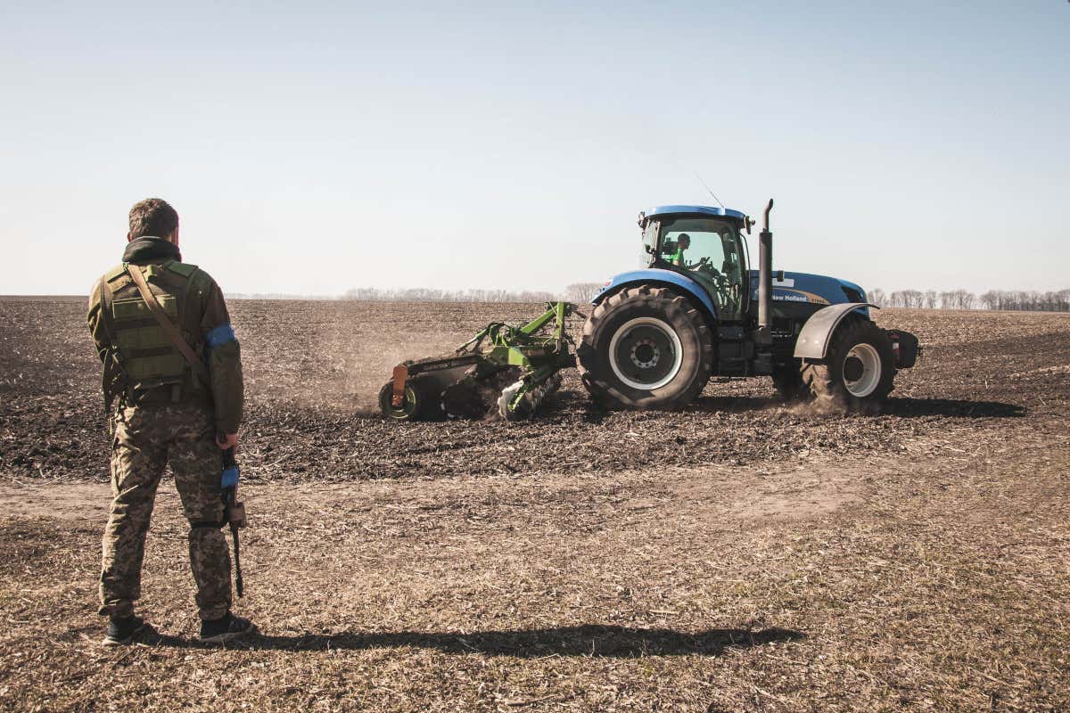 Italia senza accordo con la Russia saltano 15 mld di kg di grano dall'Ucraina