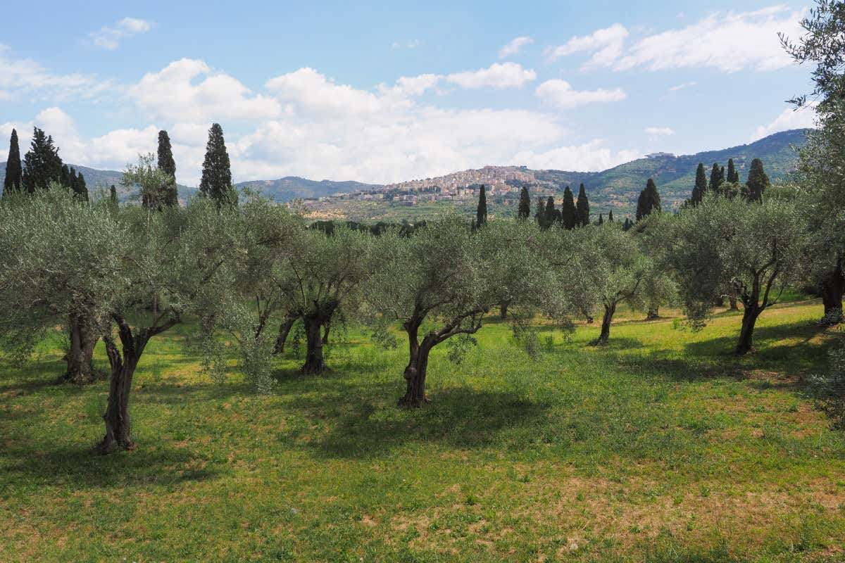 Viaggio a Tivoli, tra ville ed eccellenze gastronomiche 