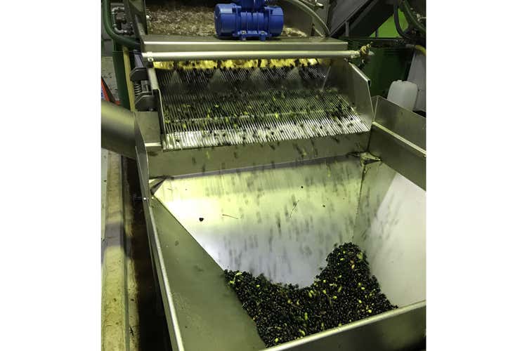 (Dall'ulivo all'olio extravergine bio Raccolta e produzione in Valle d'Itria) (Dall'ulivo all'olio extravergine bio Raccolta e produzione in Valle d'Itria)